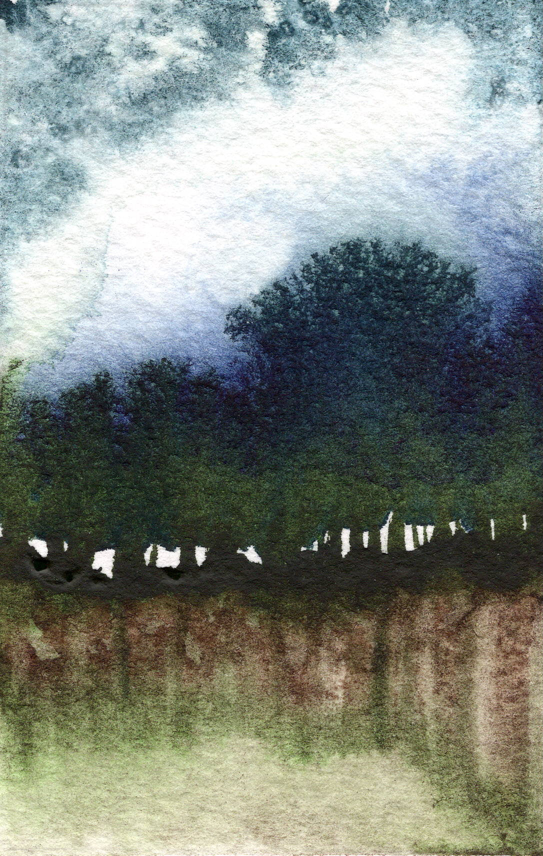 Forest Edge