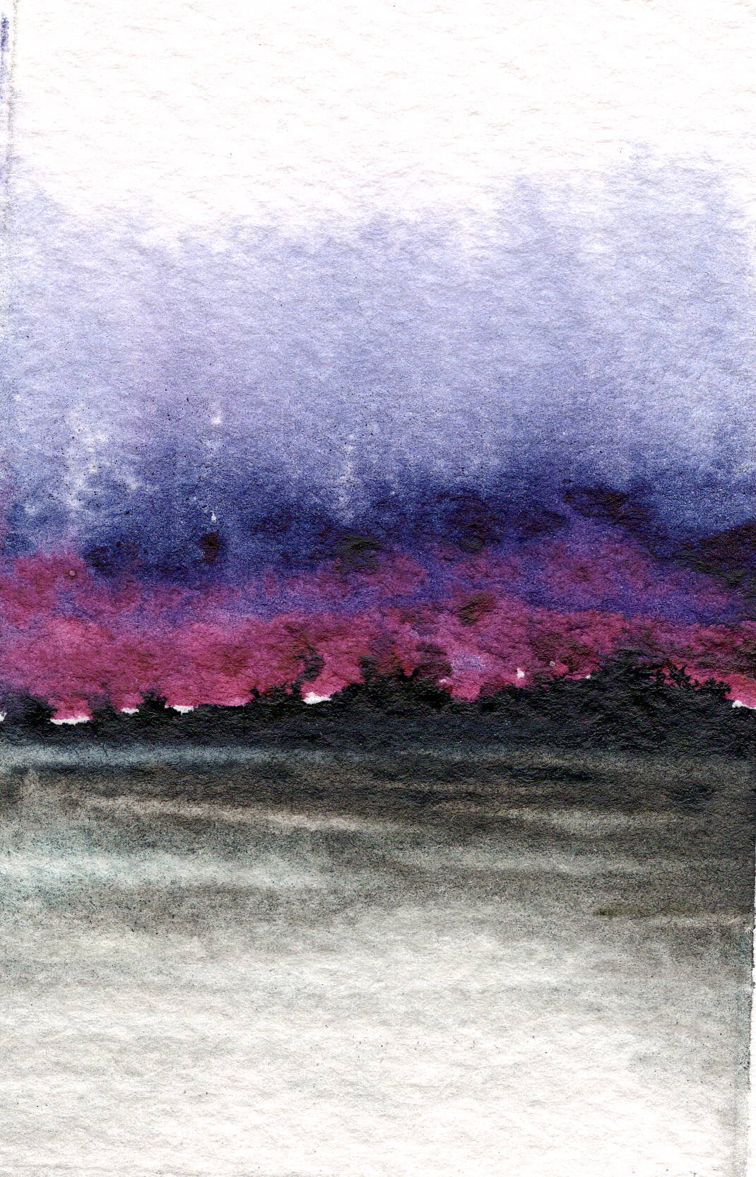 Twilight