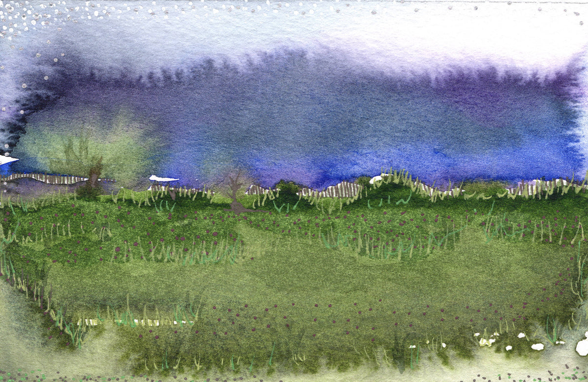 Dusk Field