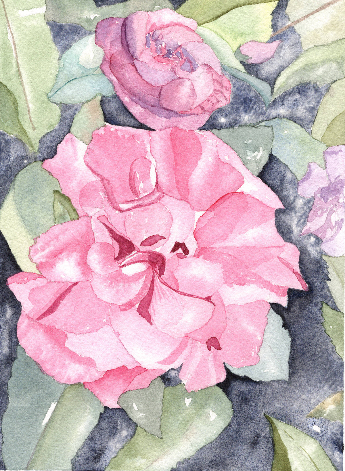 Garden Flowers
