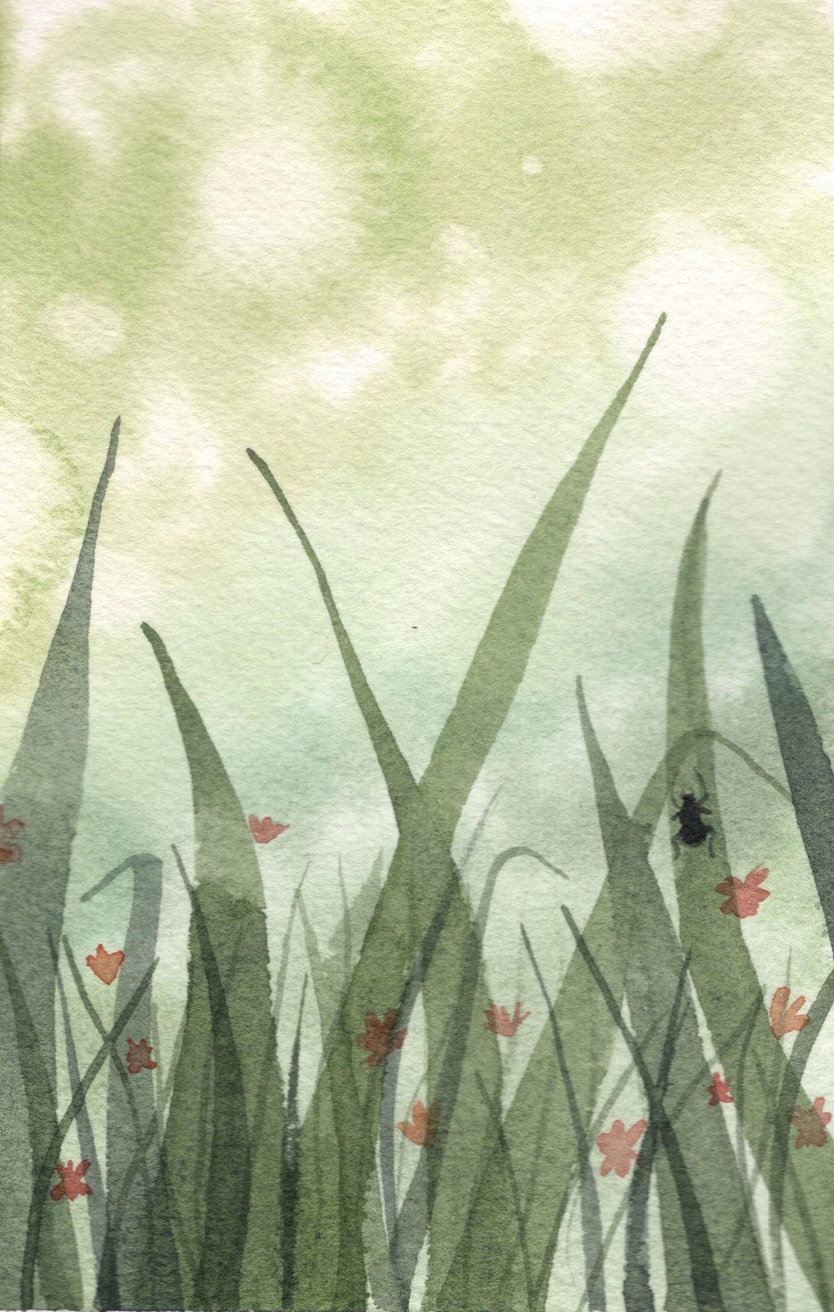 Spring Grass
