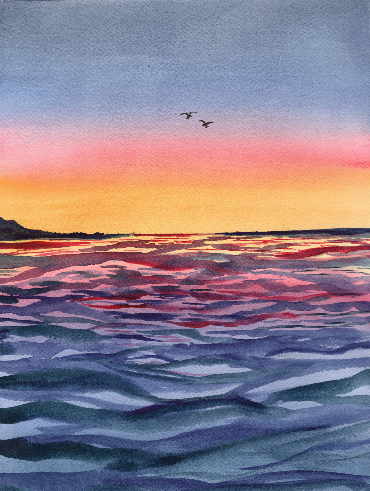 Sunset Birds