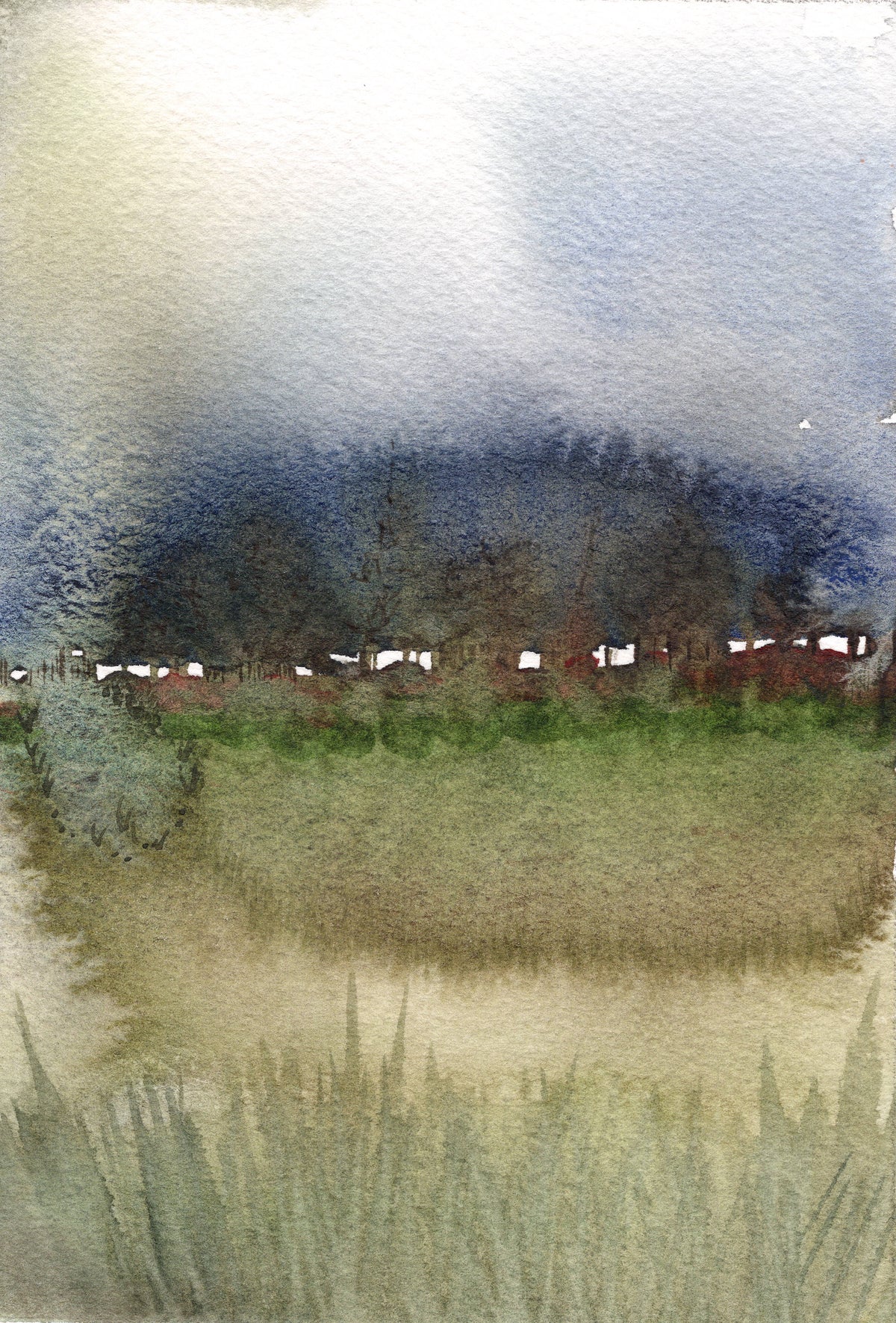 The Land