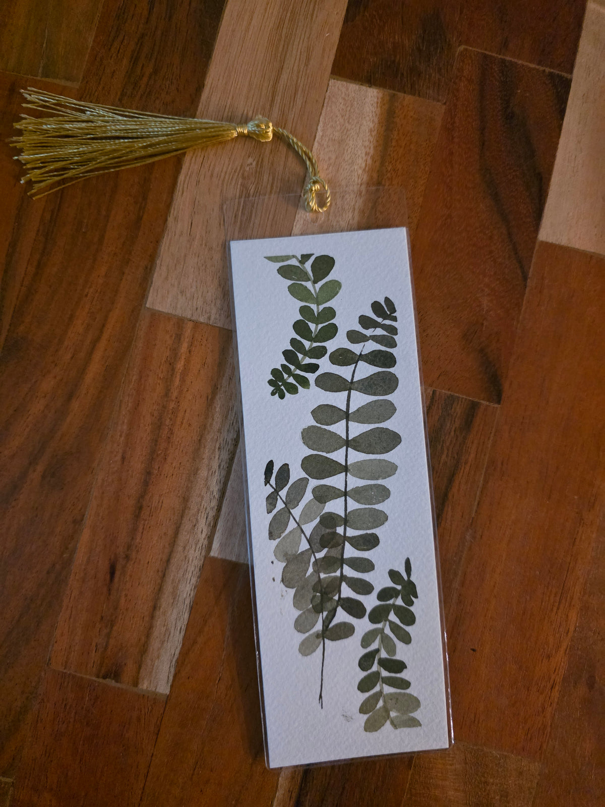 Fern
