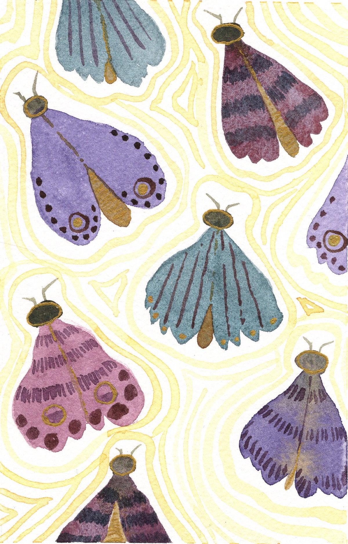 Golden Moths
