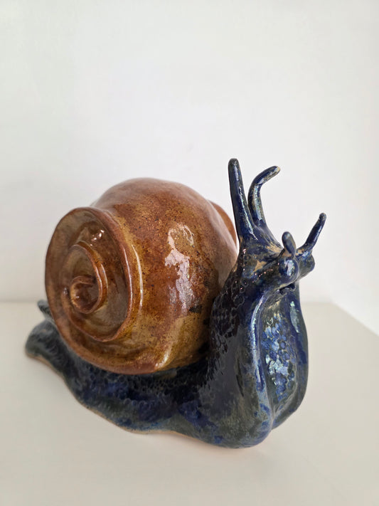 Happy Snail