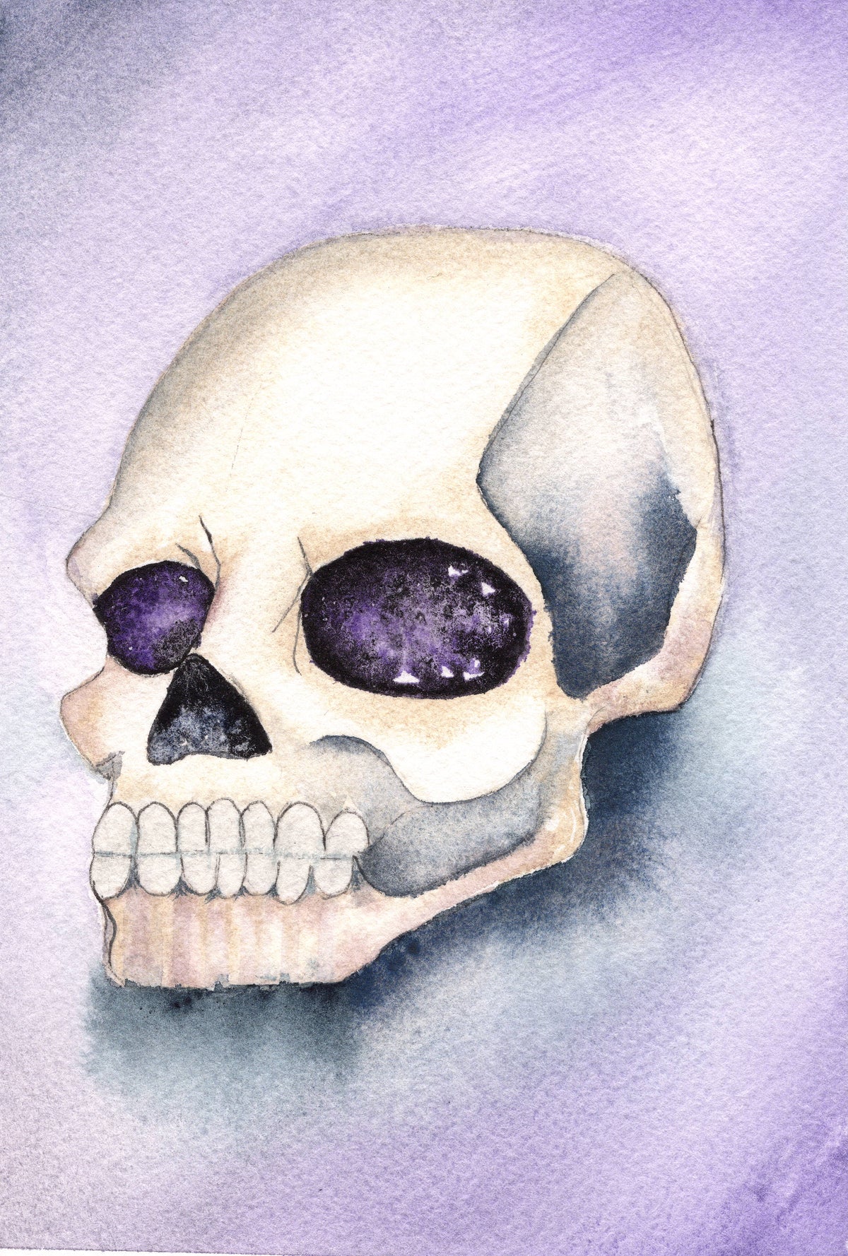 Stardust & Bone