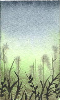 Swamp