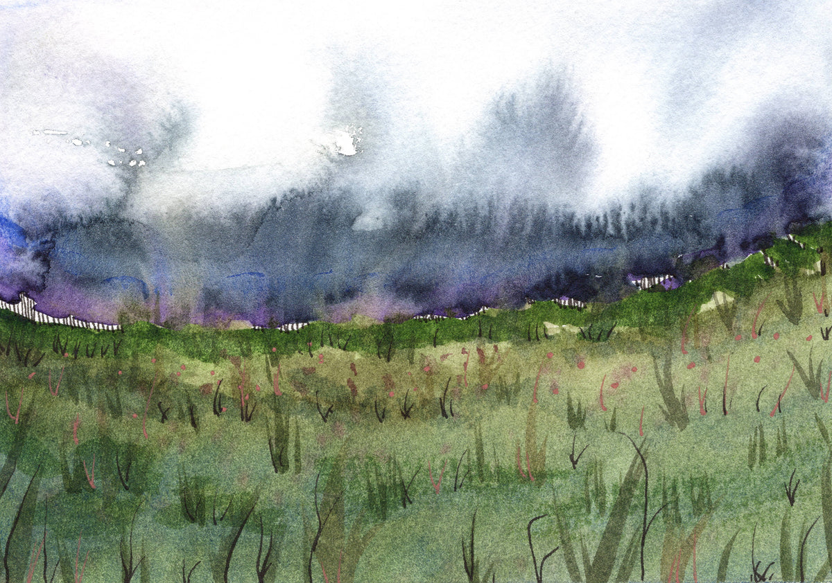 Field of Dreams