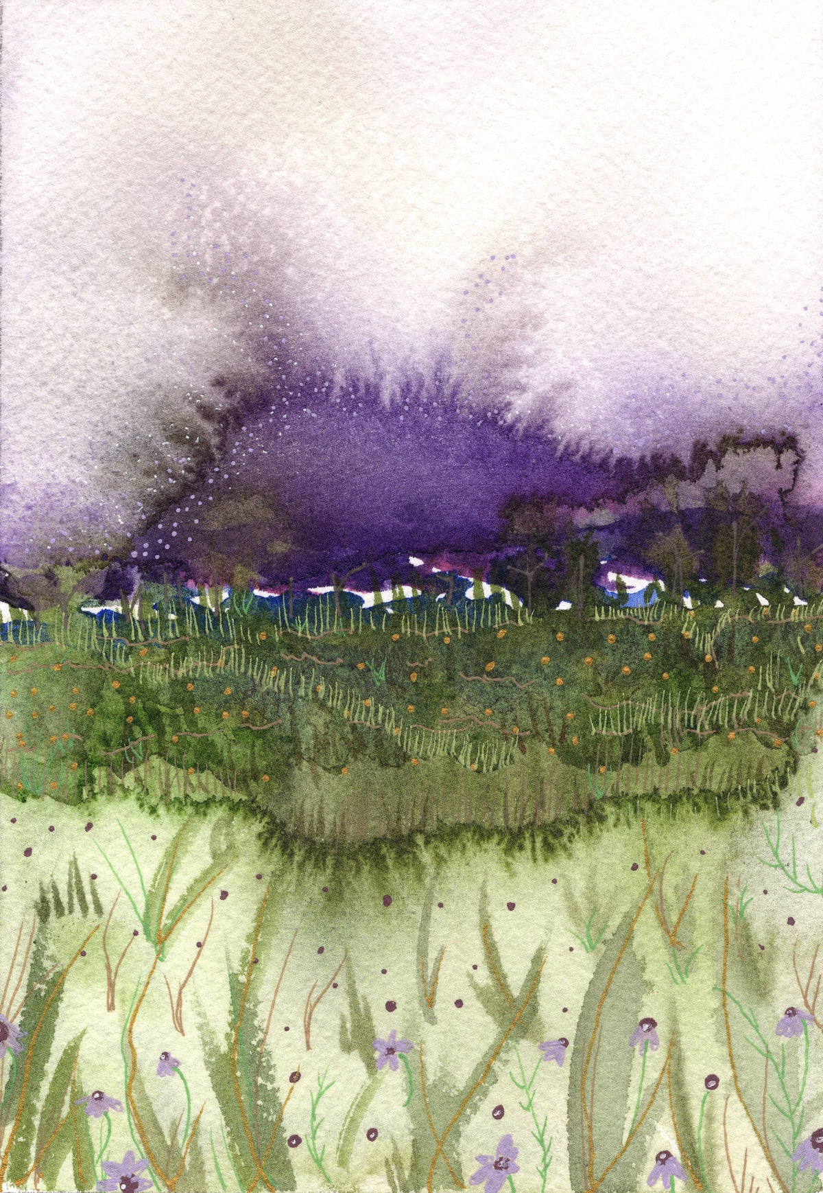 Lavender Skies