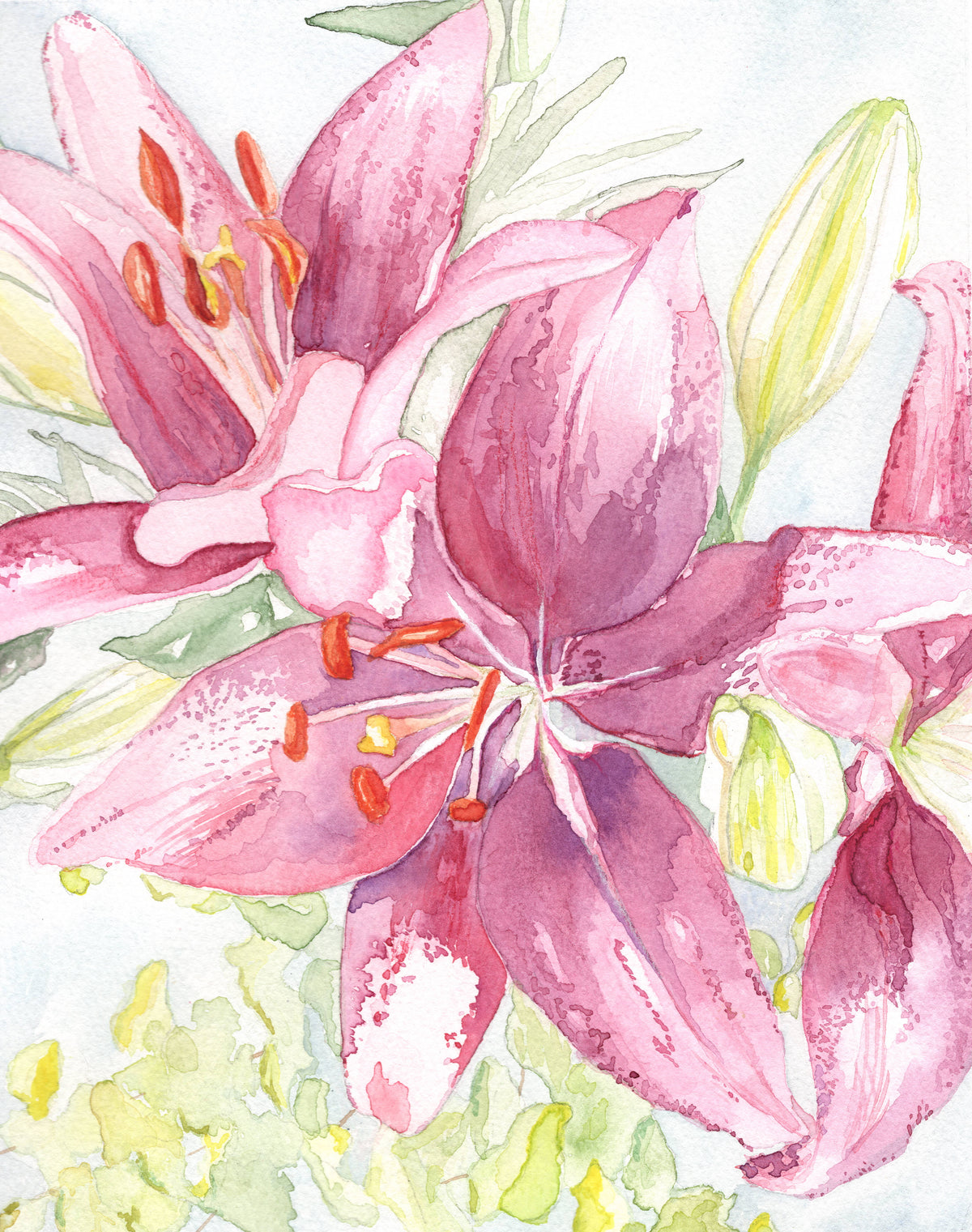 May Lilies