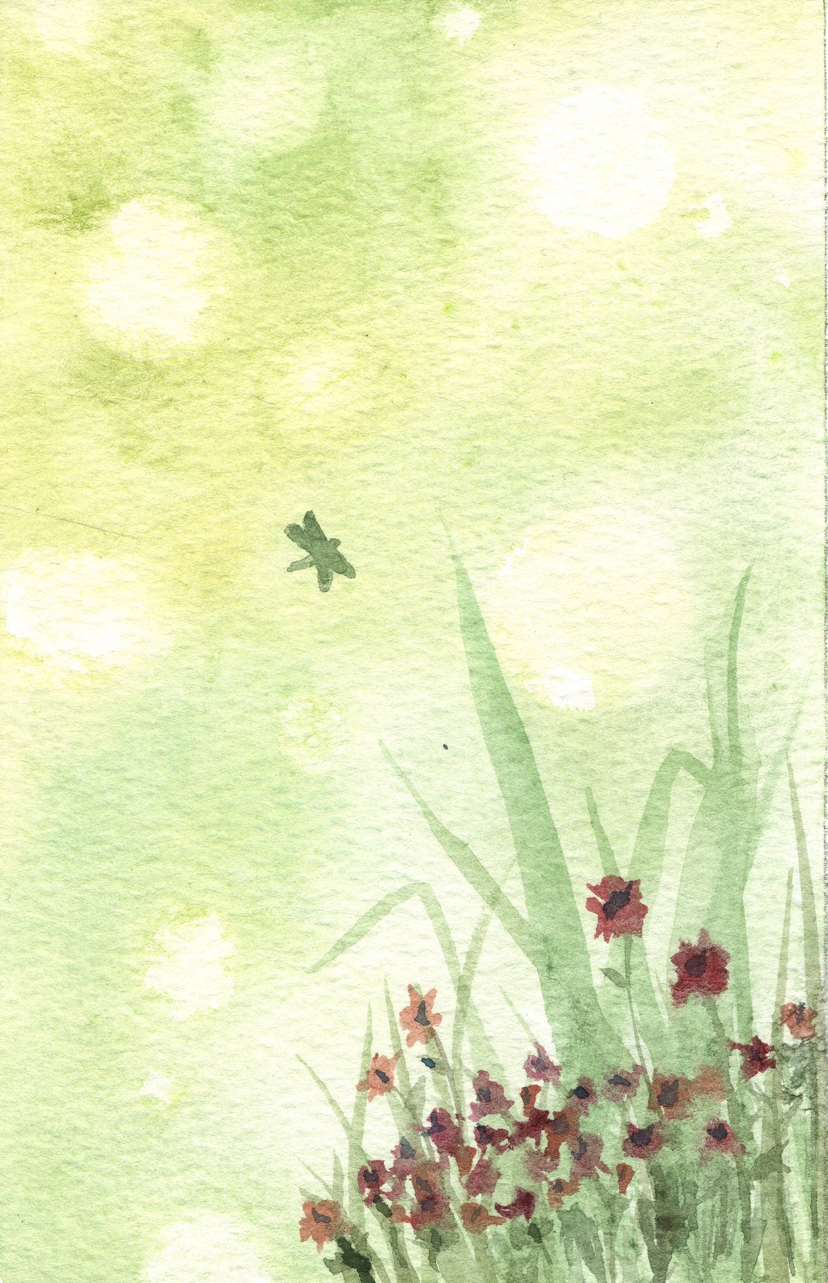Morning Grass