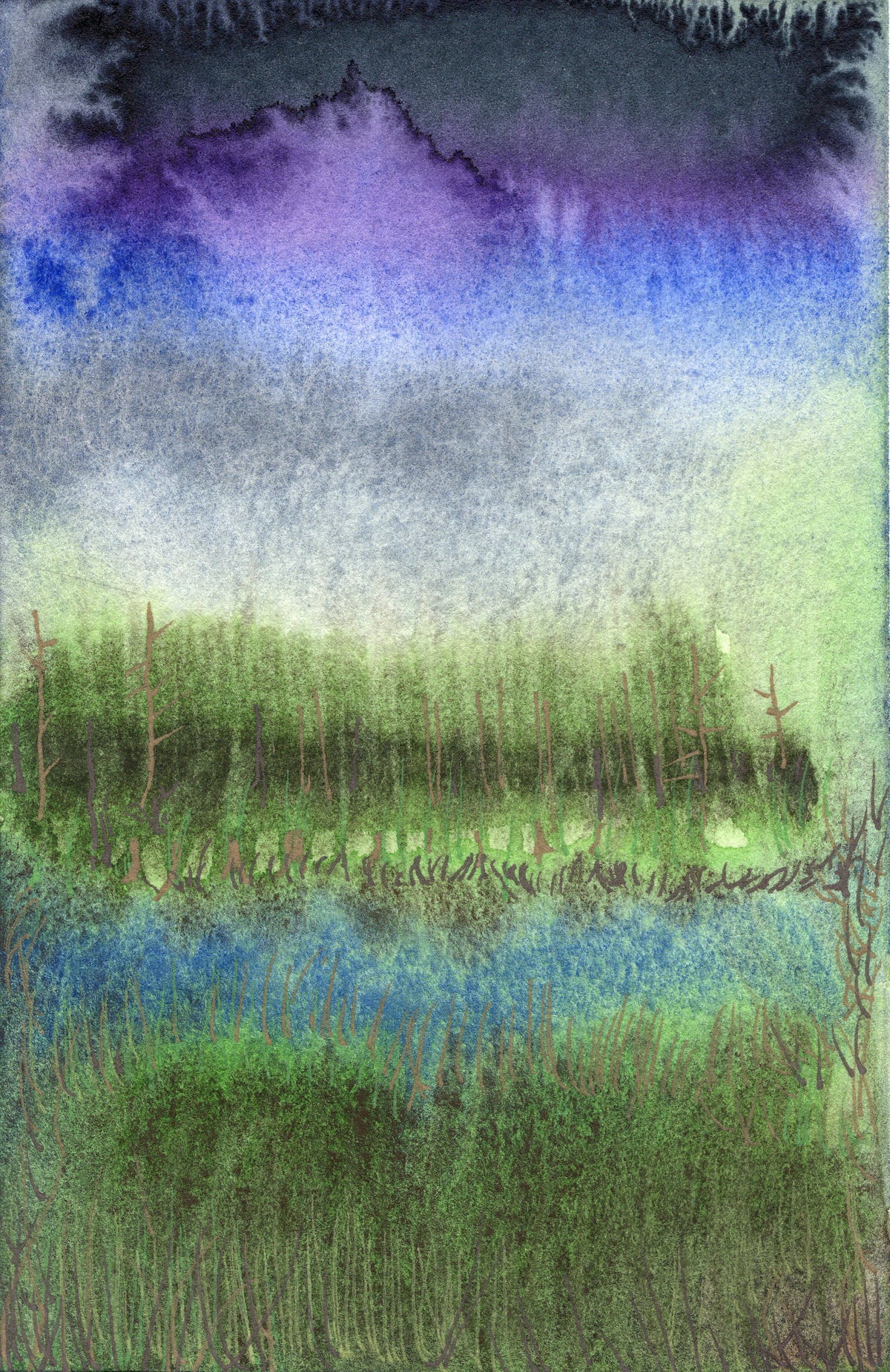 Storm at the Pond