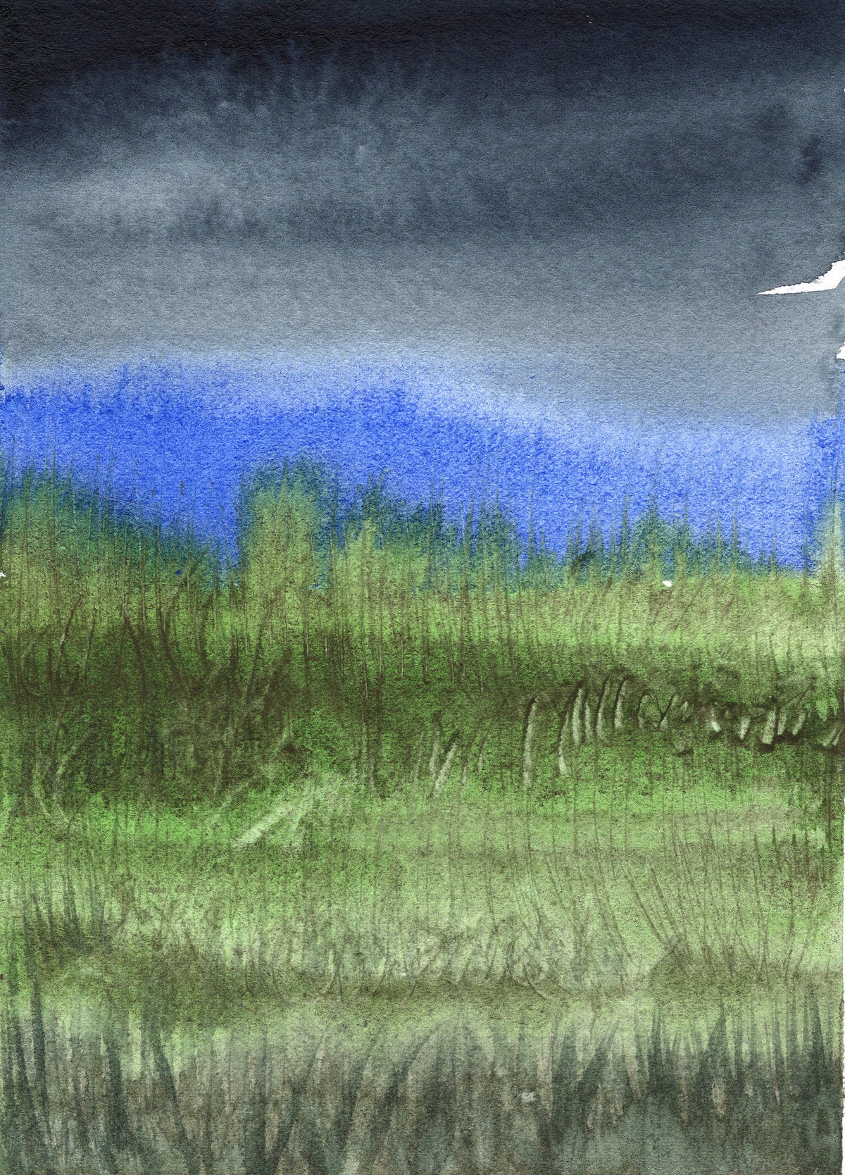 Summer Storm