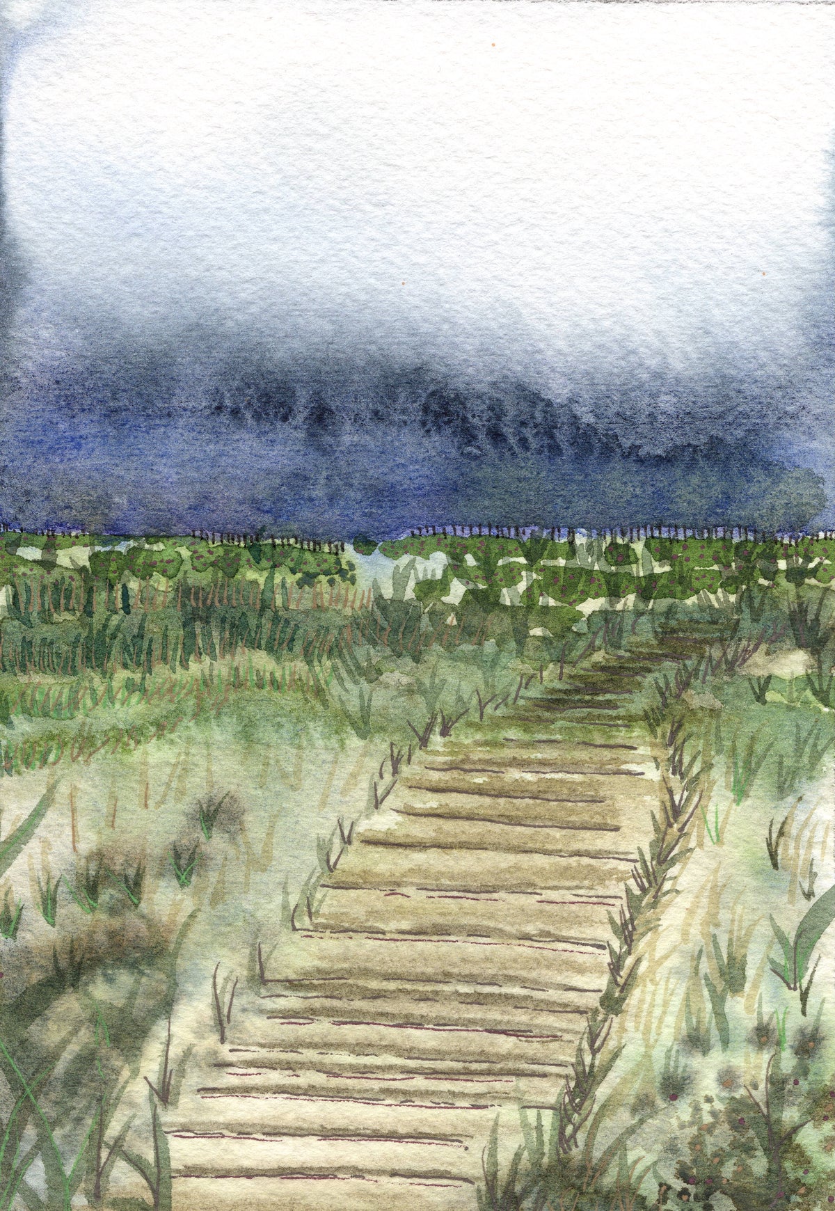 The Walking Path